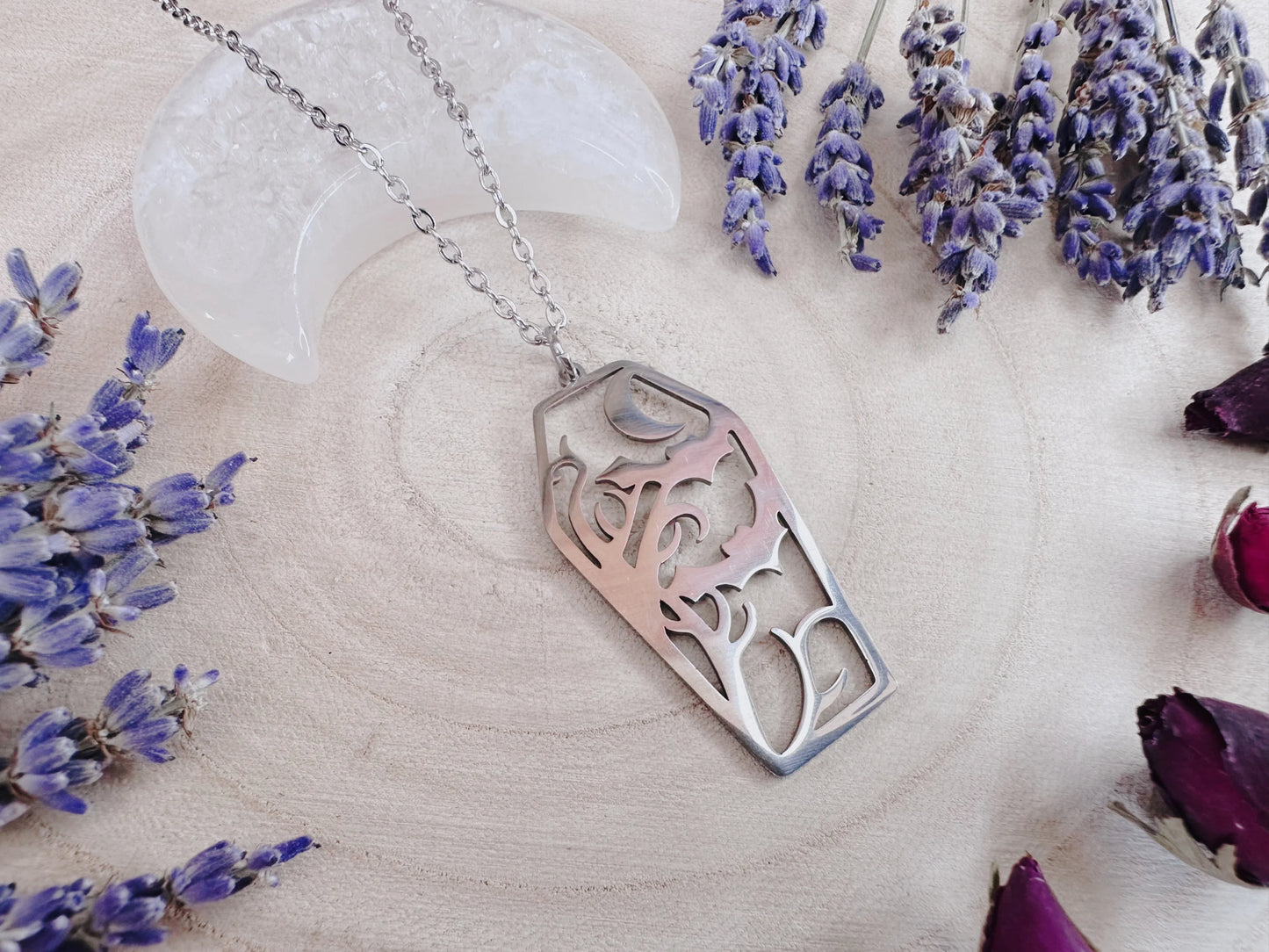 Stainless Steel Bat & Moon Coffin Necklace