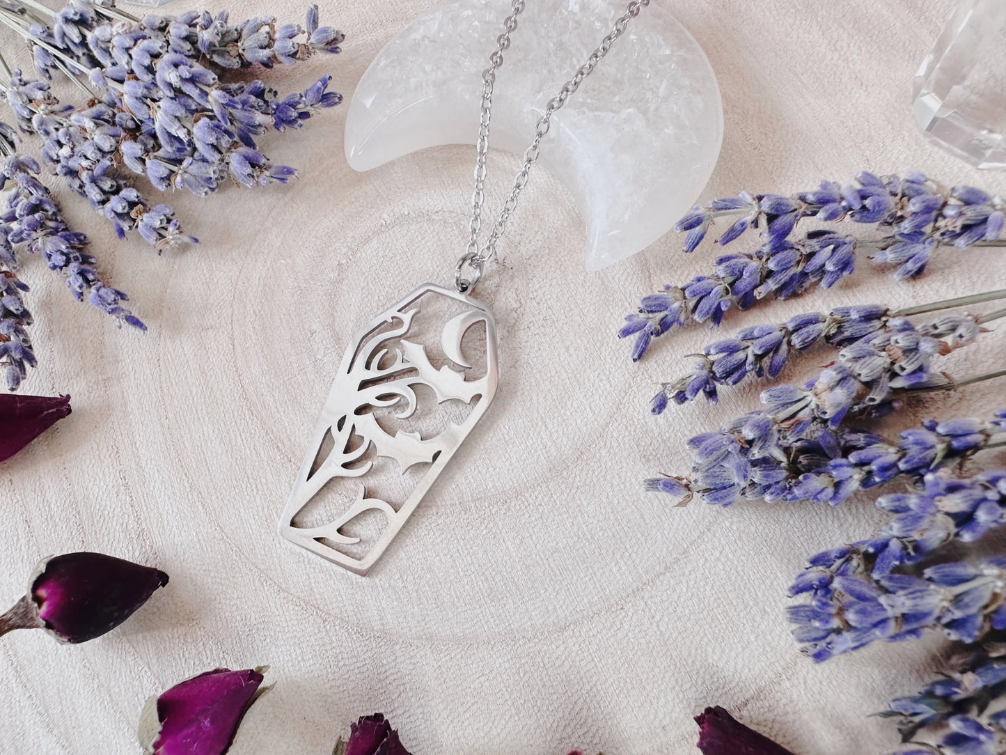Stainless Steel Bat & Moon Coffin Necklace